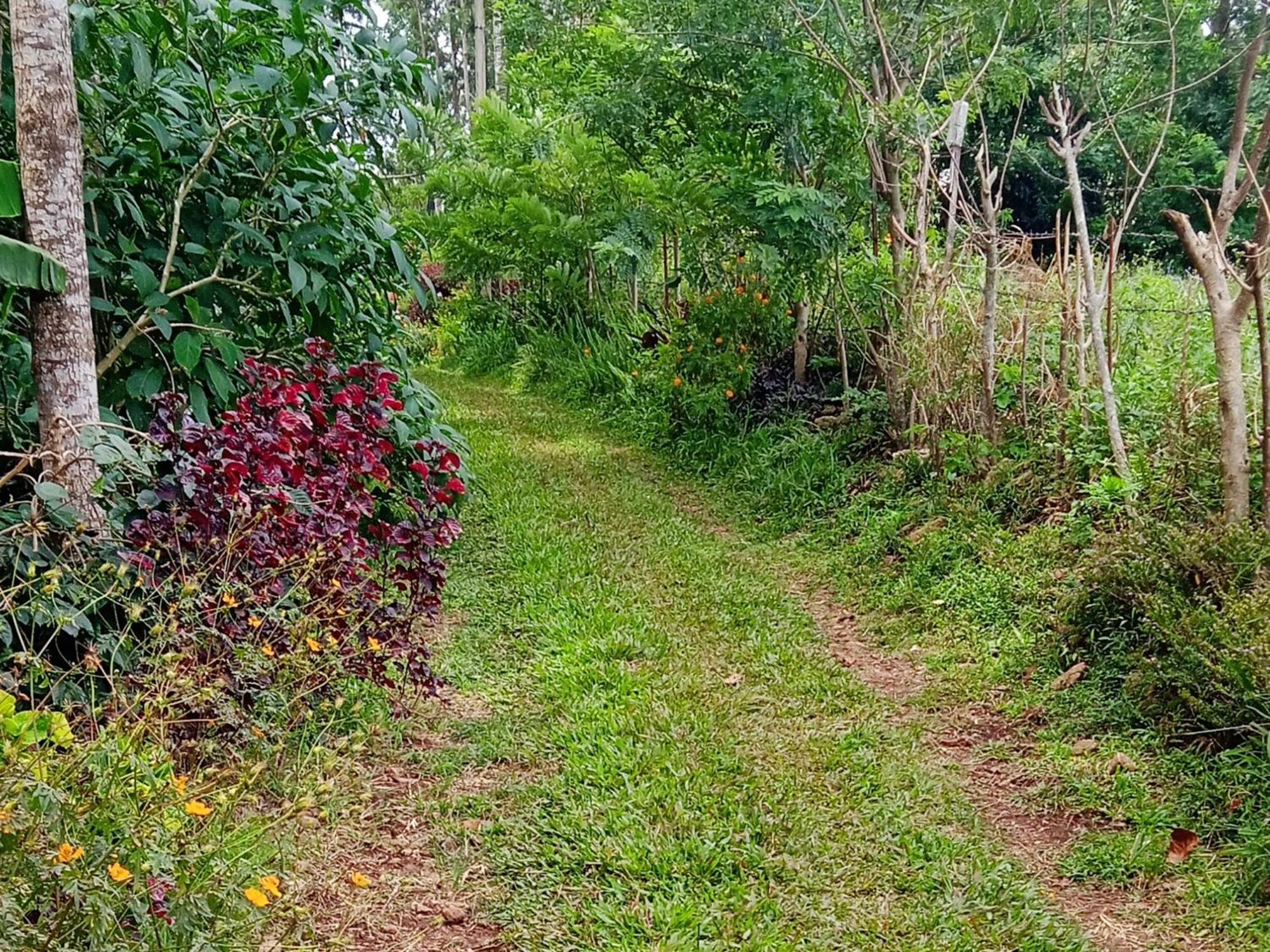 Farmer Homestay ירקאוד מראה חיצוני תמונה